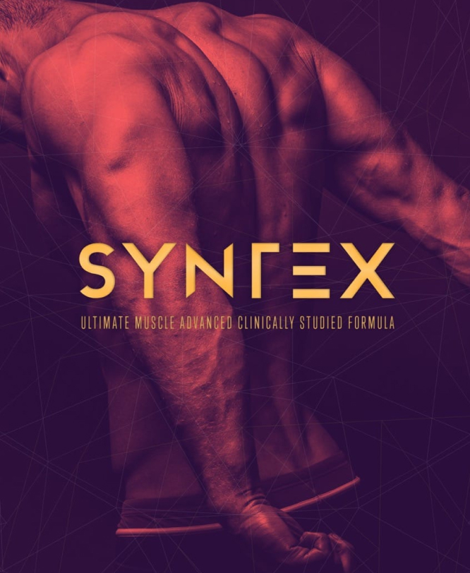 Syntex - Contacto Syntex - Contacto